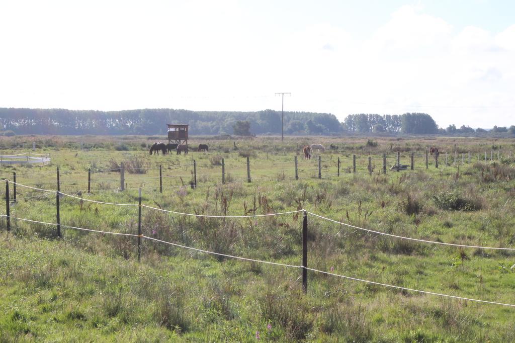 Strandhaus Glowe Ruang foto